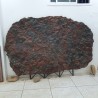 Crinoid Fossil Plate With Custom Stand - Reference: P10