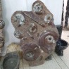 Ammonite & Orthoceras Fossil Plate - Reference: P12