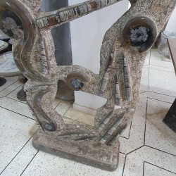 Special Sculpture Ammonite & Orthoceras - Unique Fossil Art Piece from Morocco for Home Decor - Reference: SC4