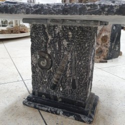 Fossil Marble Table - Reference: T7