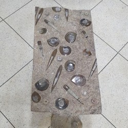 Fossil Marble Table - Reference: T8