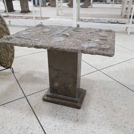 Fossil Marble Table - Reference: T9