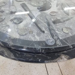 Fossil Marble Table - Reference: T13
