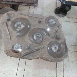 Fossil Marble Table - Reference: T16