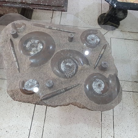 Fossil Marble Table - Reference: T16