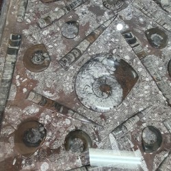 Fossil Marble Table - Reference: T25