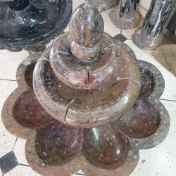 Fountain Fossil - Reference: F6