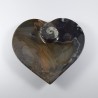 Fossil Ammonite Heart Dish - Reference: FD1