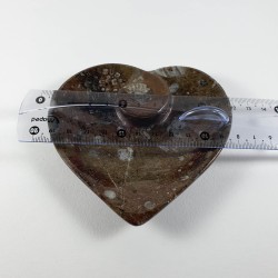 Fossil Ammonite Heart Dish - Reference: FD1