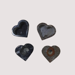 Fossil Storage Box Heart Shape - Reference: FD8