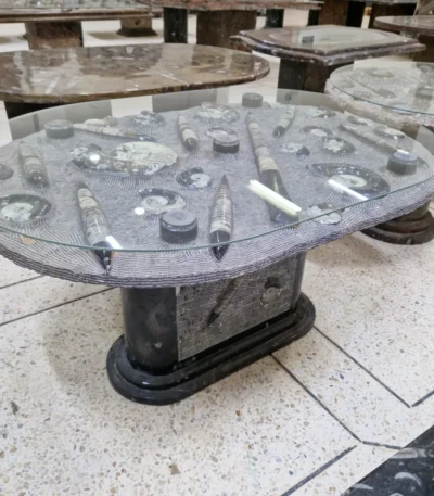 Top view of a fossil coffee table showcasing natural fossil patterns embedded in polished stone.