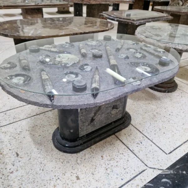 Top view of a fossil coffee table showcasing natural fossil patterns embedded in polished stone.
