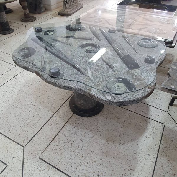 Black Orthoceras Fossil Stone Table