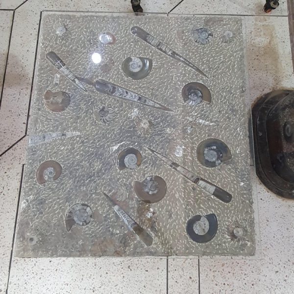 Fossil Stone Hall Table