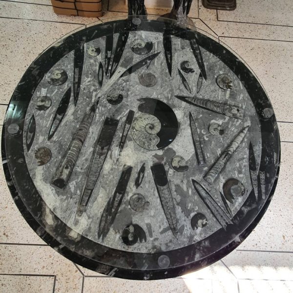 Fossil Stone Glass Coffee Table