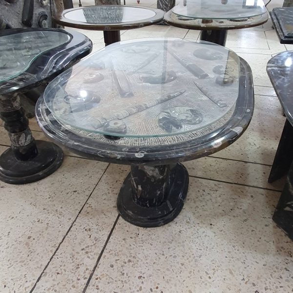 Fossil Stone and Glass Coffee Table