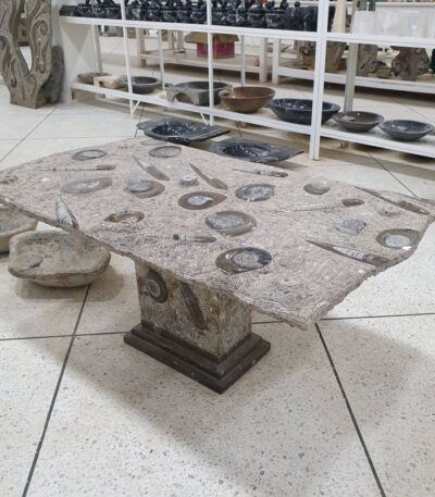 Coffee Table with Fossils