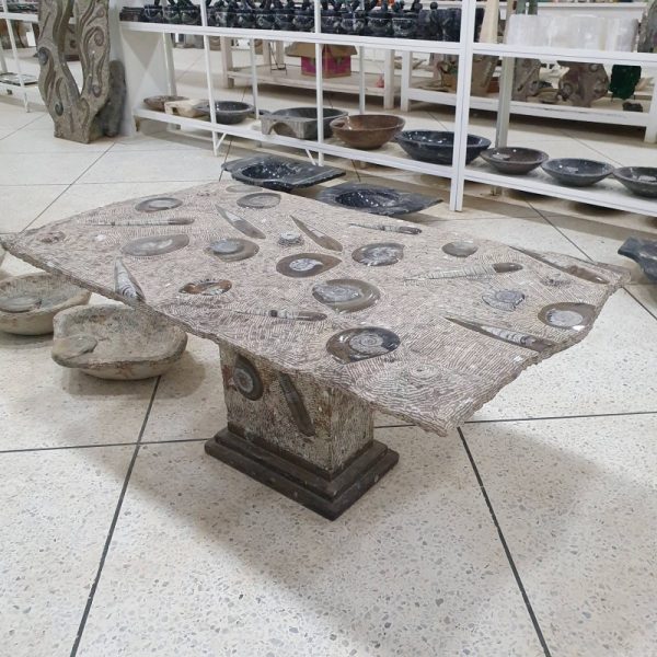 Coffee Table with Fossils