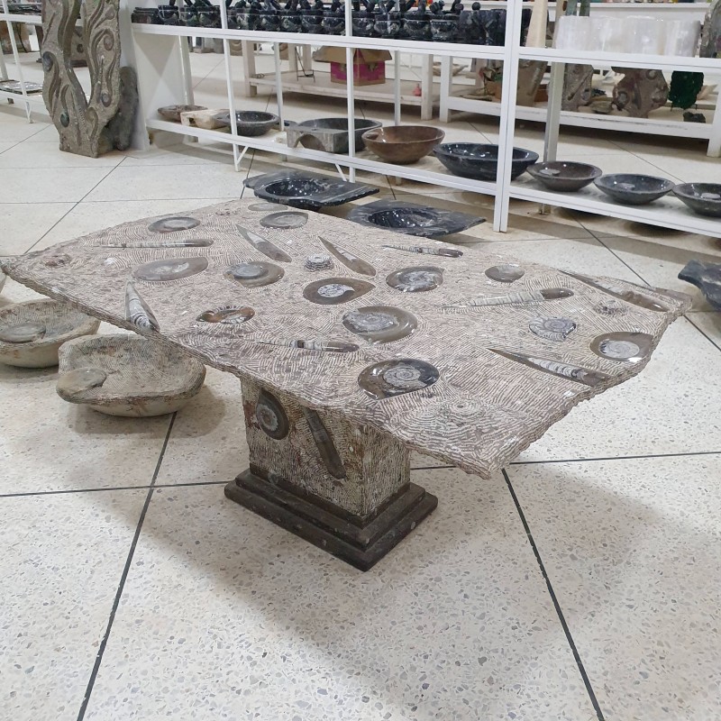 Coffee Table with Fossils