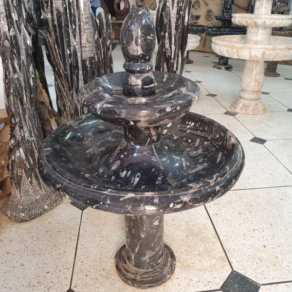 Fossilized Rock Fountain