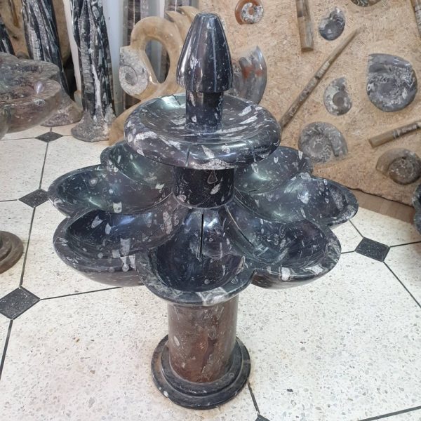 Selenite Fountain with Fossil