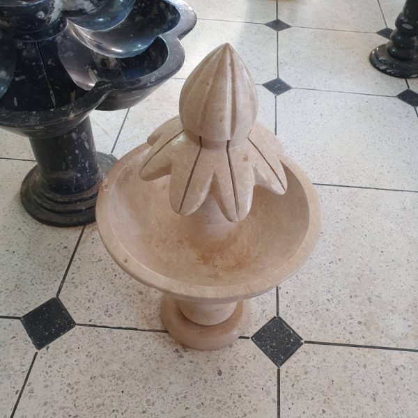 Fossil Collections Water Fountain