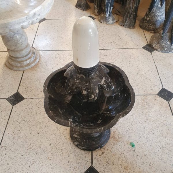 Fossilized Rock Fountain