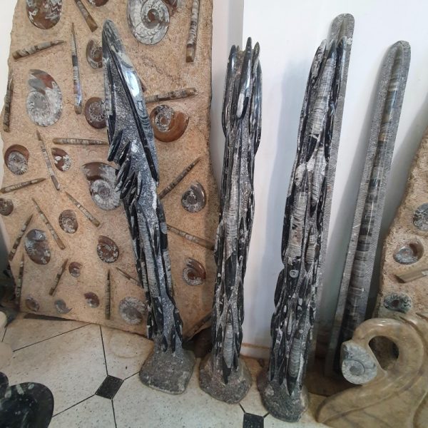 Orthoceras Fossil Sculpture