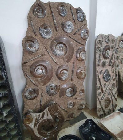 Orthoceras and Ammonite Fossil Plate from Morocco