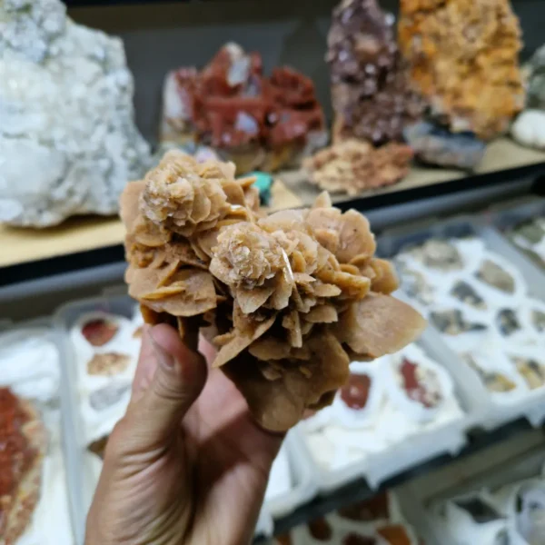 Desert Rose Crystal