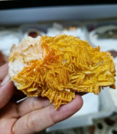 Yellow Vanadinite crystals on white Barite blades from Morocco