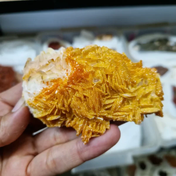 Yellow Vanadinite crystals on white Barite blades from Morocco